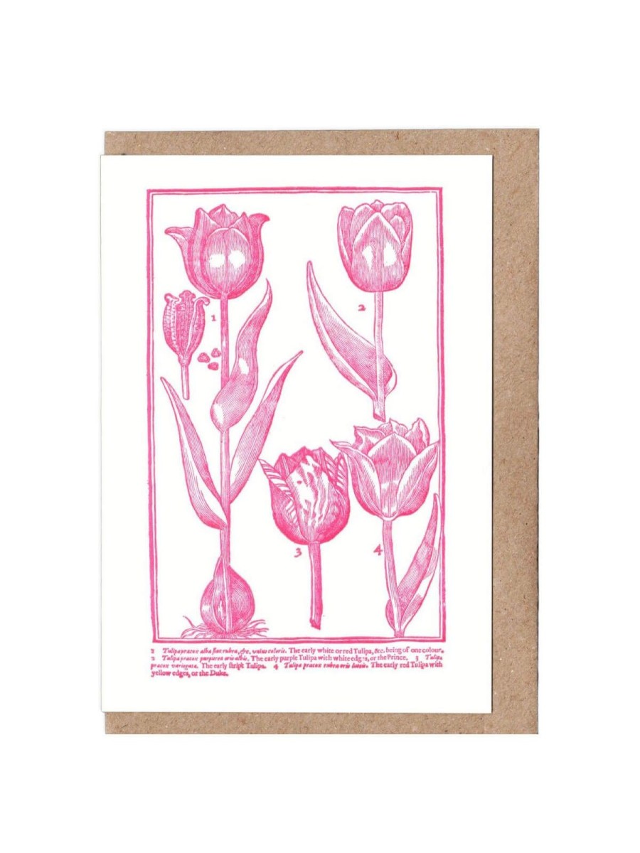 Cards Designed in the UK | Vintage Tulips Letterpress Card